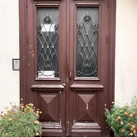 Old Town Of Evil Dog Vilnius